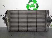 Ladeluftkühler 8200075810C Renault IV (JK0/1_) 2.2 dCi (JK0H)