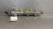 EinspritzdÃ¼sen DÃ¼senstock 8200842432 Renault I (HY_) 2.0 dCi (HY0K)