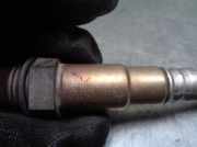 Motorhalter 51930158 Lancia Ypsilon (312) Schrägheck 1.2 (169.A.4000)