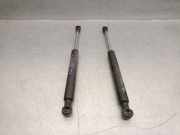 Gasdruckfedern Set Hinten 7700838612C Renault I Classic (LA0/1_) 1.9 dCi (LA05, LA1F)