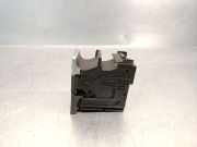 Tür Links Hinten 821010589R Renault II (HF_) TCe 90 (HFM6)