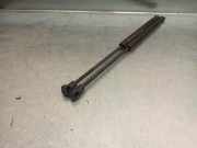 Gasdruckfedern Set Hinten 8200130187 Renault SCÉNIC II (JM0/1_) 1.5 dCi (JM02, JM13)