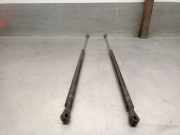 Gasdruckfedern Set Hinten 7702144629 Renault GTL ( B/C40)