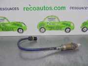 Lenkung 4860060A7 Santana 300/350 Geländewagen 1.6 HDI (DV6ATED4(9HX))