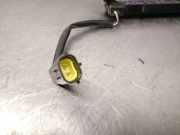 Antenne YCB23G130185 Kia Stonic (YB) SUV 1.0i T-GDi 12V Eco-Dynamics+ (G3LF)
