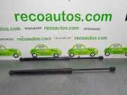 Gasdruckfedern Set Hinten 5JA827550 Skoda Rapid Liftback 1.6 TDI Greenline (CAYC)