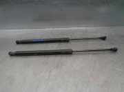Gasdruckfedern Set Hinten 6896002091 Toyota (_E15_) 2.0 D-4D (ADE150_)