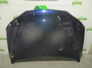Motorhaube 664002B030 Hyundai Santa Fe II (CM) SUV 2.2 CRDi 16V 4x4 (D4EB)