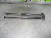 Gasdruckfedern Set Hinten 689600D012 Toyota Yaris II (P9) Schrägheck 1.4 D-4D (1NDTV)