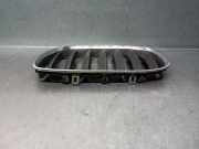 Grill 51137124815 BMW X5 (E53) SUV 3.0d 24V (M57N-D30(306D2))