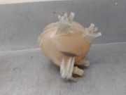 Ausgleichbehälter - - 9820083580 Peugeot Furgoneta (V_) 2.0 BlueHDi 120