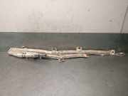 Seiten Airbag LINKS 3C8880741C Volkswagen B7 (358) 2.0 TDI