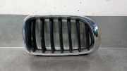 Grill 51117338572 BMW X3 (F25) SUV xDrive20d 16V (B47-D20A)