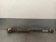 Stoßdämpfer Links Hinten 6C0513025AH Volkswagen Polo V (6R) Schrägheck 1.4 TDI (CUSA) CUSA