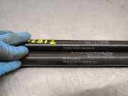 Gasdruckfedern Set Hinten 817704P000 Hyundai i20 Schrägheck 1.2i 16V (G4LA)