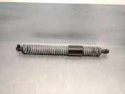 Gasdruckfedern Set Hinten 51247366406 BMW 5 serie (G30) Limousine 523d 2.0 TwinPower Turbo 16V (B47-D20A)