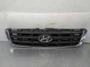 Grill 8636125620 Hyundai ACCENT (LC) 1.5 CRDi CAT