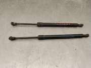 Gasdruckfedern Set Hinten 51247250308 BMW 3 (E90) 318 d
