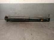 Stoßdämpfer Links Hinten 56210HV03A Renault (HA_, HL_) 1.3 TCe 140