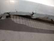 Stoßstange Vorne 5655130 Renault MEGANE II BERLINA 3P 1.9 dCi Diesel