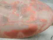 Ausgleichbehälter - 7700312900 Renault II Autobús (JL) 2.0 dCi 115