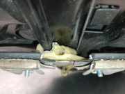 Fensterheber Rechts Vorne 00520154910 Jeep Renegade (BU) SUV 1.6 Multijet 16V (55260384)