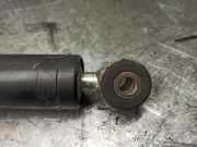 Stoßdämpfer Links Hinten 814901001246 Seat (7V8) 1.9 TDI