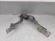 Motorhaubescharnier 654009781R Renault Espace (RFCJ) GroÃŸraumlimousine 1.6 dCi 160 Twinturbo (R9M-D452(Euro 6))