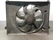 Kühlerventilator 252311F000 Kia Carens III (FG) Großraumlimousine 2.0 CRDI VGT 16V (D4EA)