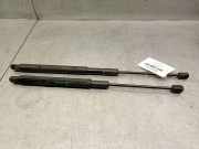 Gasdruckfeder Set Vorne A2059800164 Mercedes-Benz C (W205) Limousine C-220 2.2 CDI BlueTEC, C-220 d 16V (OM651.921)
