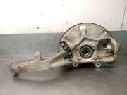 Achsschenkel Halter Links Vorne A1663300920 Mercedes-Benz GLE (W166) 250 d 4-matic (166.004)
