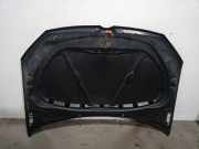 Motorhaube 6R0823031G Volkswagen Polo V (6R) Schrägheck 1.2 12V (CGPB) CGPB
