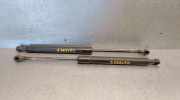 Gasdruckfedern Set Hinten 9483297 Volvo S80 (TR/TS) Limousine 2.8 T6 24V (B6284T)