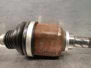 Handgriff Kofferraum BM51A43404AFW Ford Focus 3 Schrägheck 1.6 TDCi 115 (T1DB)