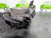 Nebelscheinwerfer Rechts Vorne 96338482 Daewoo / Chevrolet Evanda Limousine 2.0 16V (T20SED)