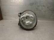 Nebelscheinwerfer Rechts Vorne 63176920886 BMW X5 (E53) SUV 3.0d 24V (M57N-D30(306D2))