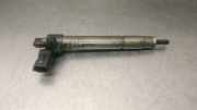 Kraftstoff-Injector 0445116043 Land + Range Rover Freelander II Geländewagen 2.2 tD4 16V (224DT)