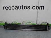 Radiator G901047031 Toyota Prius (ZVW3) Schrägheck 1.8 16V (2ZRFXE)