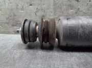 Sto?d?mpfer Links Hinten 22118405 Opel Astra F (56/57) Limousine 1.6 Si . (C16SE)