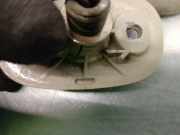 Sonnenblende Links 4828313 Chrysler 300 M Limousine 3.5 V6 24V (EGG)
