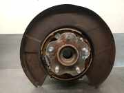 Achsschenkel Halter Links Hinten 430191CA0B Infiniti 3.0 V6 Diesel CAT