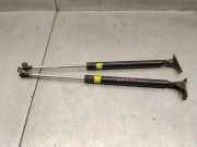 Gasdruckfedern Set Hinten 6895080105 Toyota Corolla (EB/WZ/CD) Schrägheck 1.4 16V VVT-i (4ZZFE)