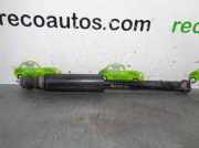 Stoßdämpfer Links Hinten 51831651 Lancia Delta (844) Schrägheck 1.6 D Multijet 16V 105 (844.A.3000)