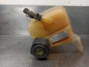 Ausgleichbeh?lter - 2243061000 Renault Koleos I SUV 2.0 dCi 16V 150 FAP (M9R-H8)