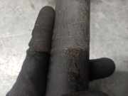 Stoßdämpfer Links Hinten 56210AV400 Nissan Primera (P12) Limousine 2.0 16V CVT (QR20DE)