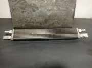 Radiator 17218679837 BMW 3 serie (G20) Limousine 320d 2.0 TwinPower Turbo 16V Mild Hybrid (B47-D20B)