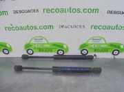 Gasdruckfedern Set Hinten 4B5827552F Audi A6 (C5) Limousine 2.5 TDI V6 24V Quattro (AKE)