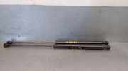 Gasdruckfedern Set Hinten 904518604R Renault Twingo III (AH) Schrägheck 5-drs 0.9 Energy TCE 90 12V (H4B-C4)