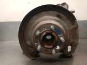 Achsschenkel Halter Rechts Hinten LR098783 Land + Range Rover Discovery V (LR) Geländewagen 2.0 Td4 16V (204DTA)