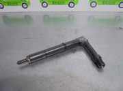 Kraftstoff-Injector 484391 Nissan ALMERA (N16/E) 2.2 16V Turbodiesel CAT